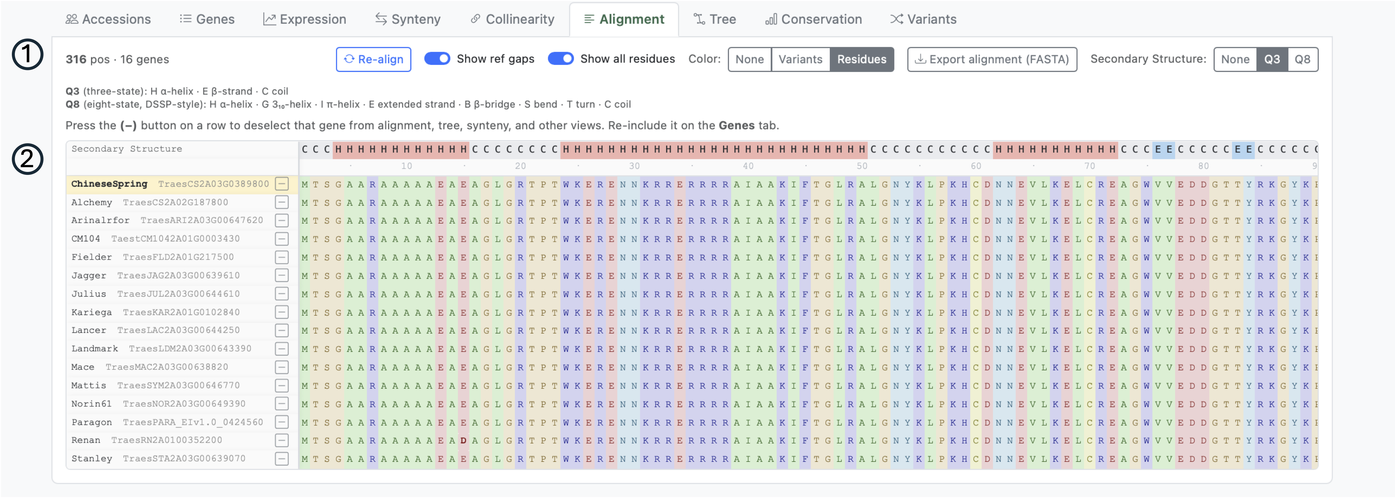 Protein alignment tab with secondary structure row