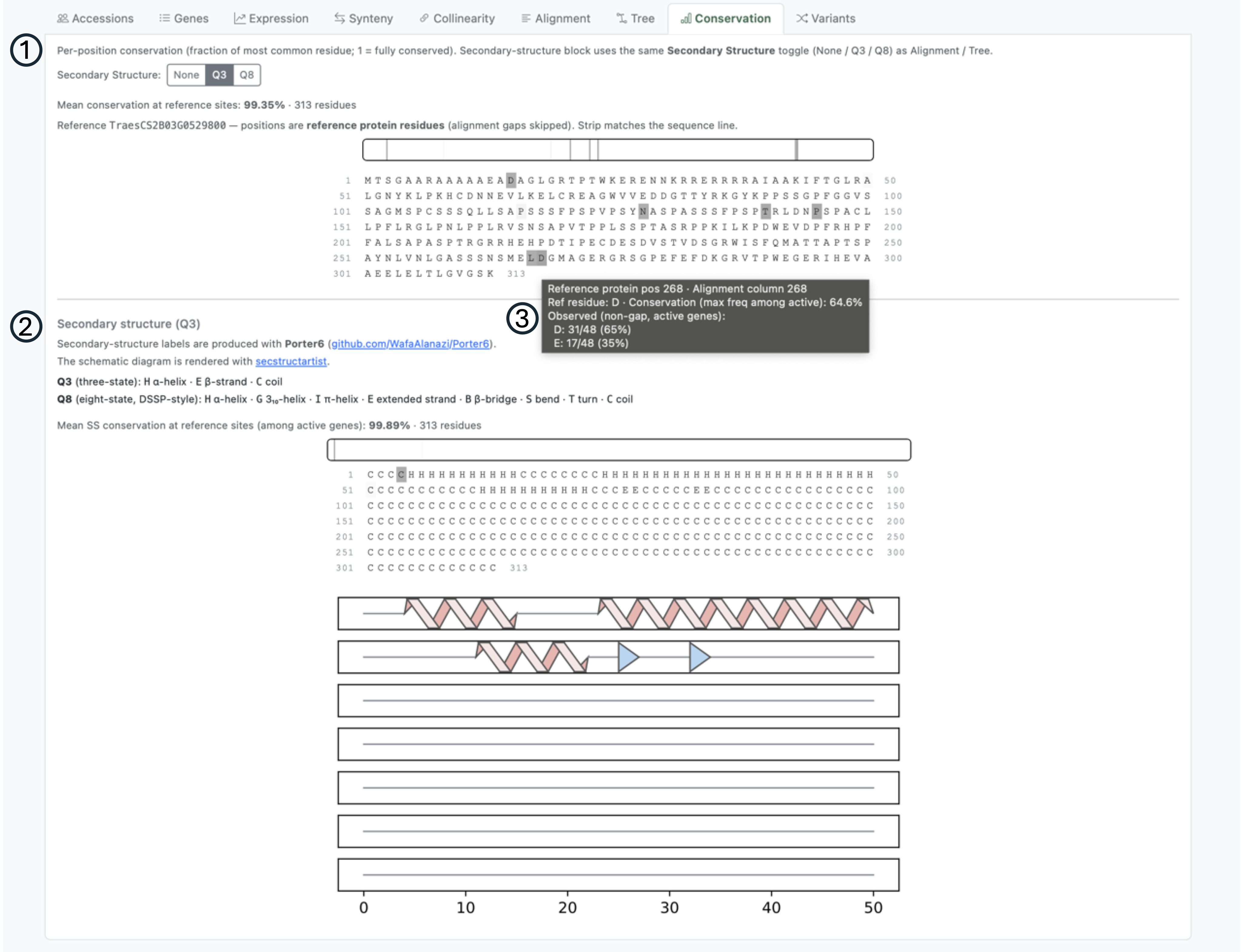 Conservation tab with sequence and secondary-structure conservation plots