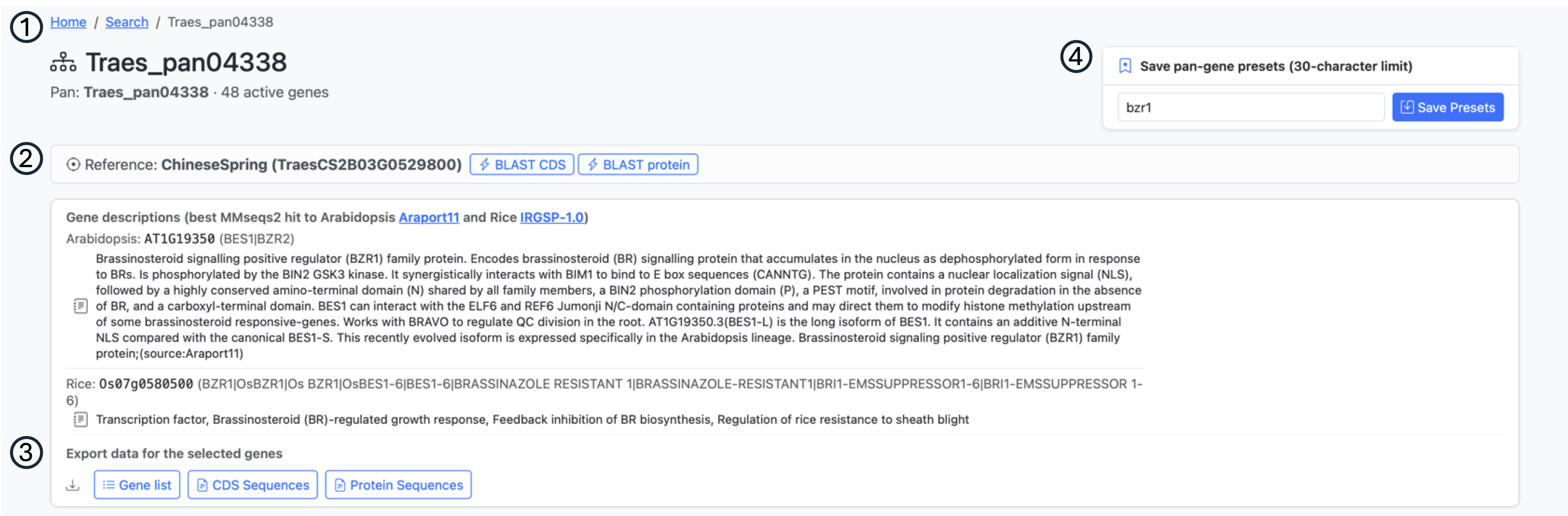 Pan-gene page header with title, reference descriptions, and download buttons