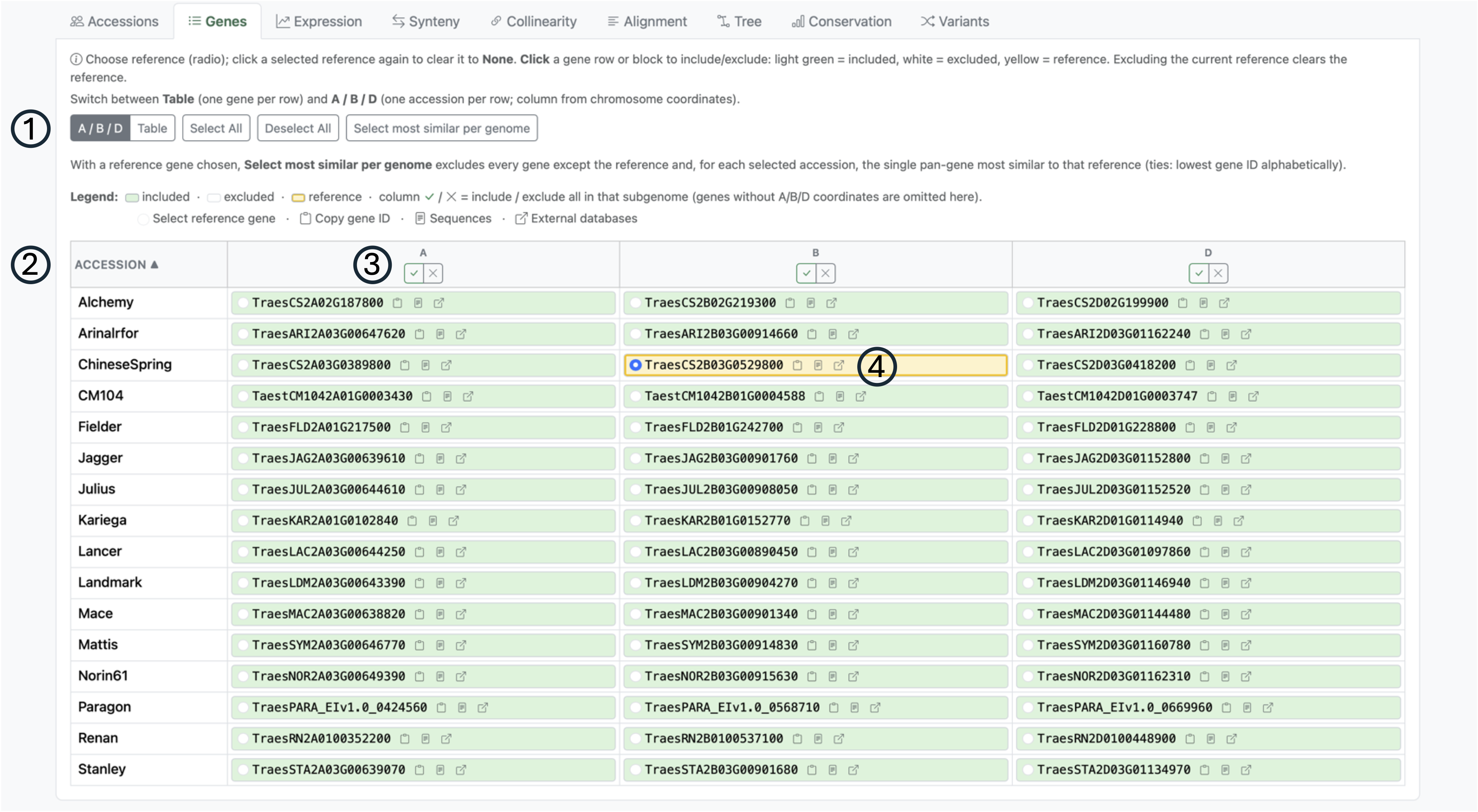 Genes tab subgenome grid with reference selection and inclusion toggles