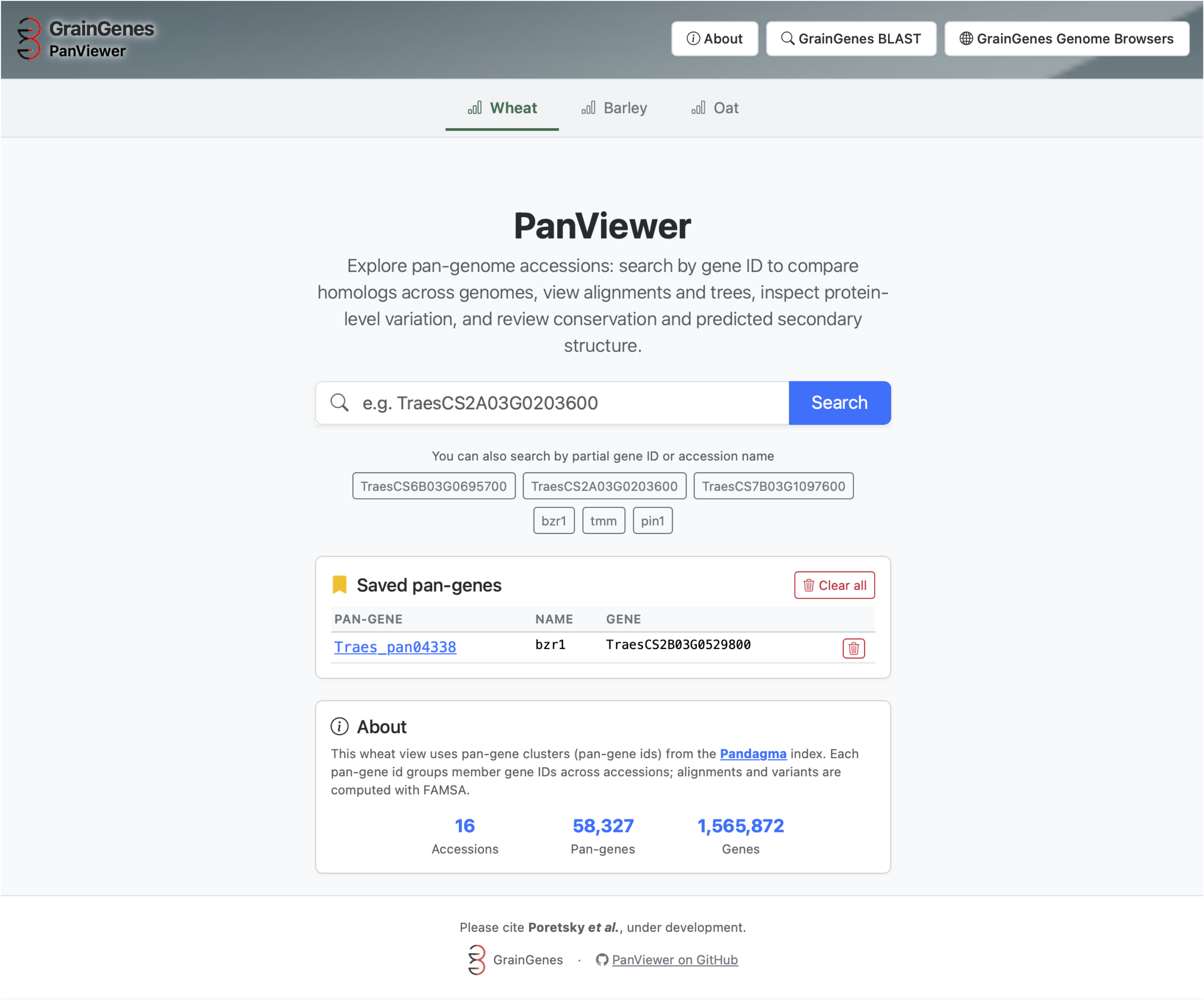 PanViewer main search page with species tabs, search bar, and saved pan-genes