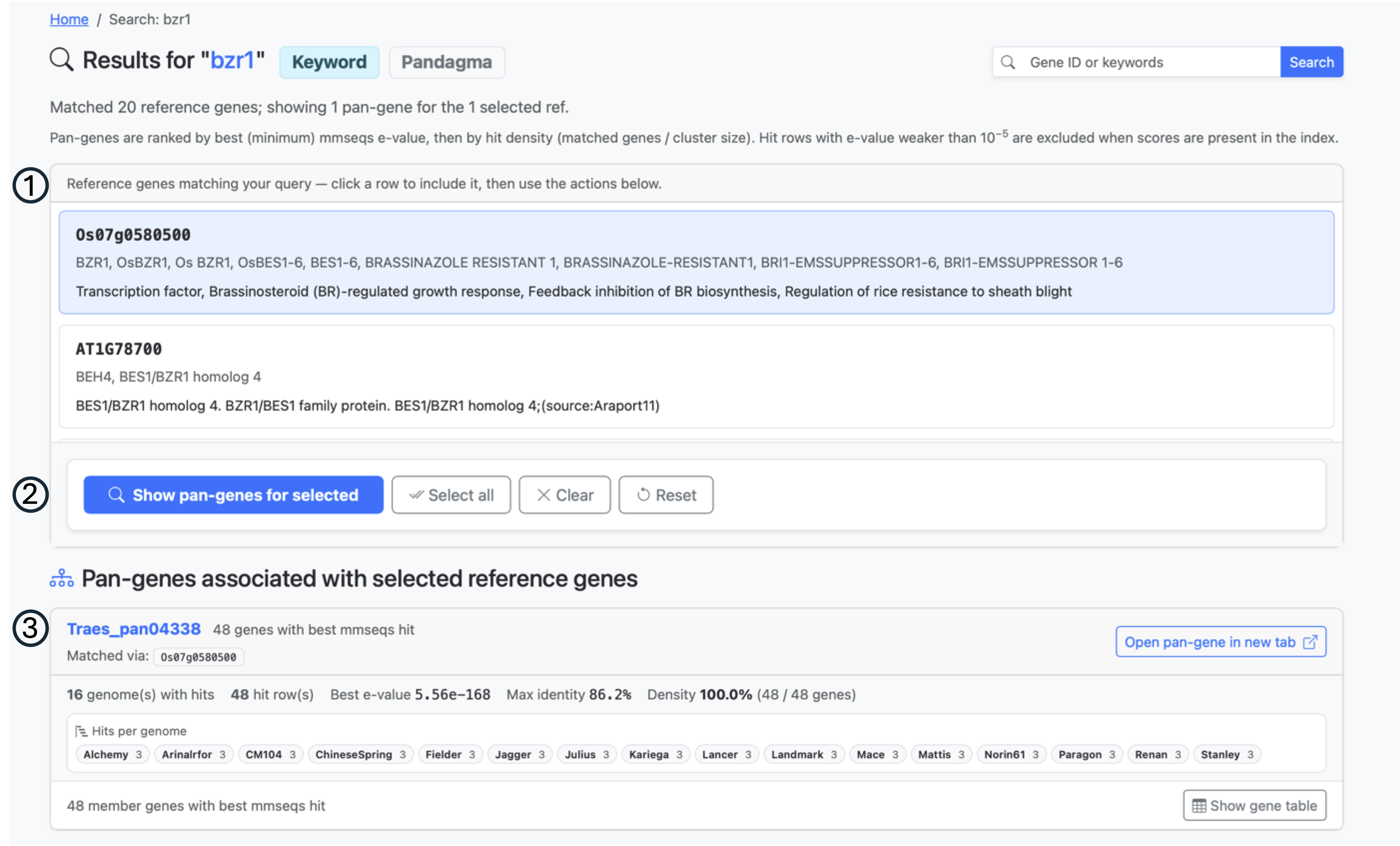 Keyword search results with Arabidopsis and rice hits and ranked pan-genes
