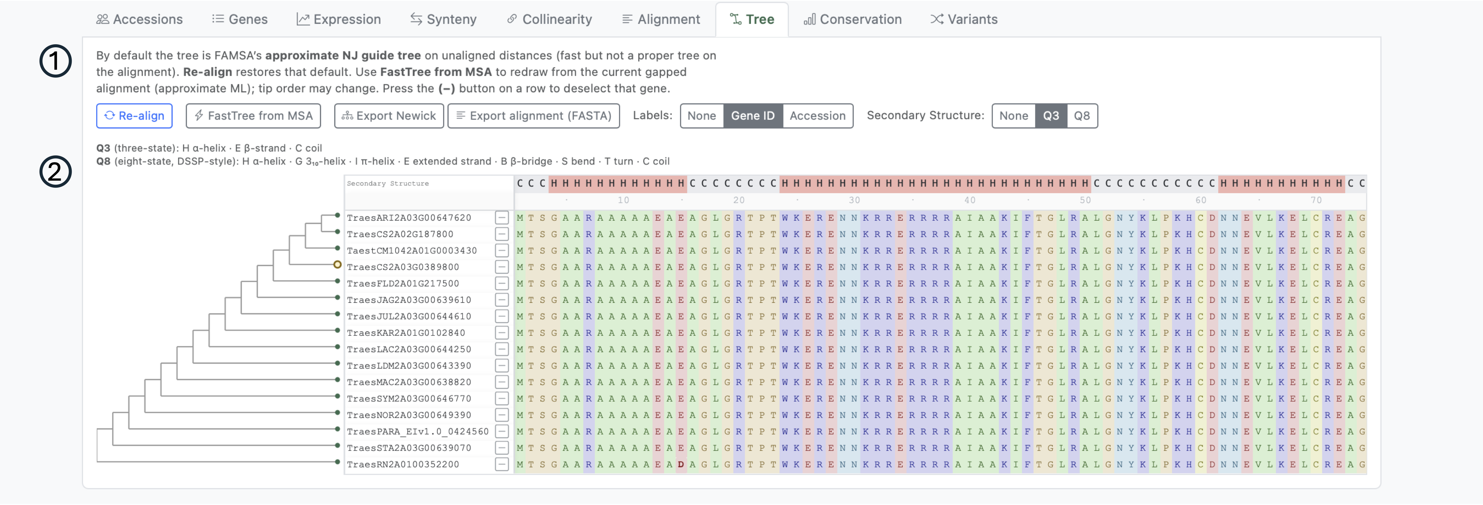 Tree tab with alignment side panel and FastTree option